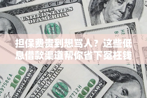 济南担保费贵到想骂人？这些低息借款渠道帮你省下冤枉钱