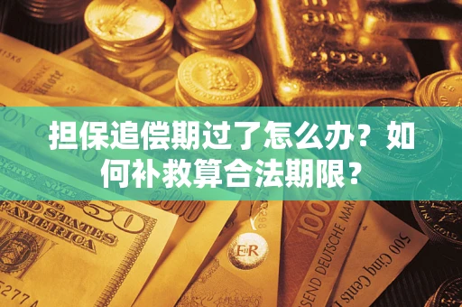 济南担保追偿期过了怎么办？如何补救算合法期限？